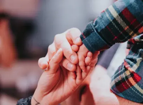 Derechos de familia